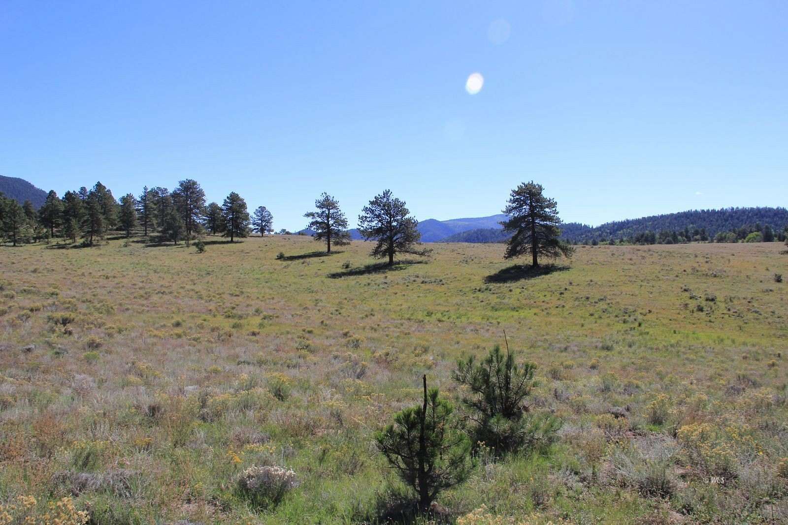 36 Acres of Recreational & Residential Land for Sale in Westcliffe, Colorado
