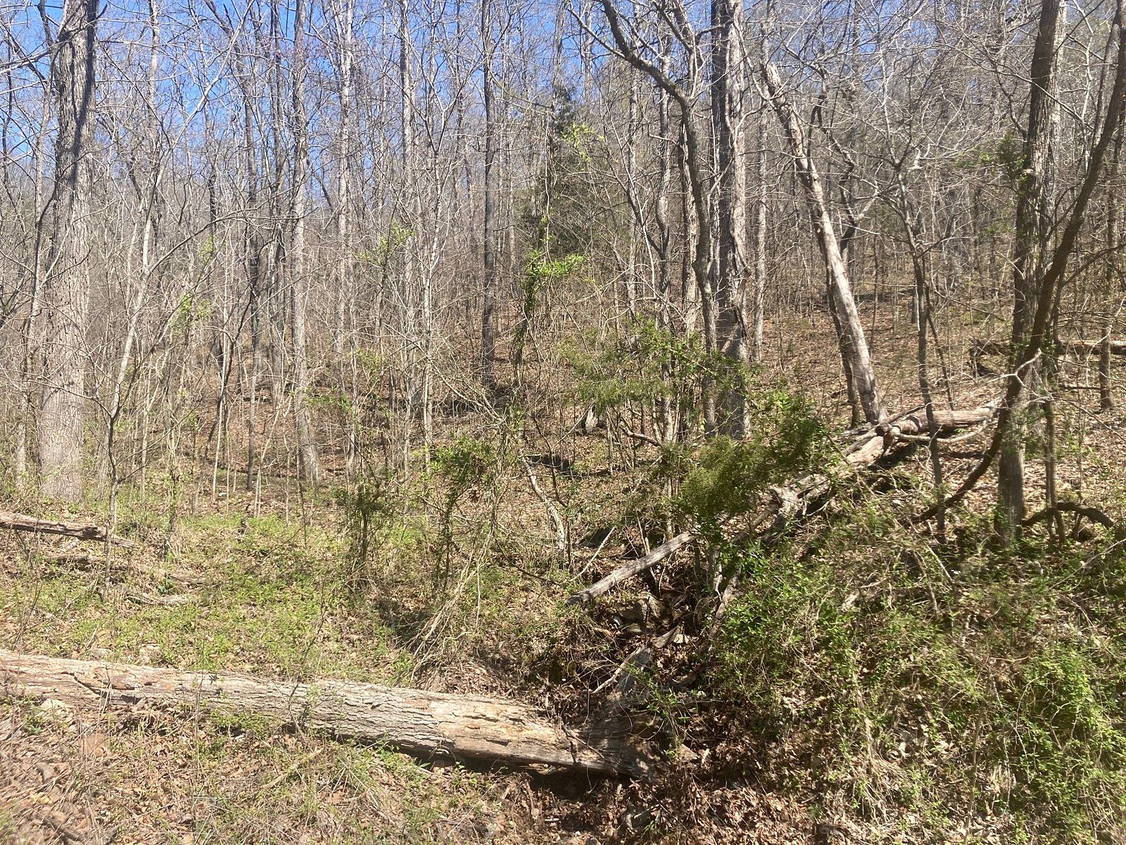 14 Acres of Land for Sale in Mountain View, Arkansas