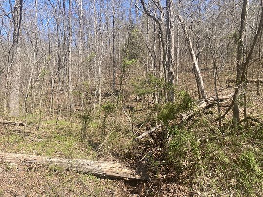 14 Acres of Land for Sale in Mountain View, Arkansas
