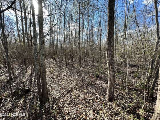 42.5 Acres of Land for Sale in Williamston, North Carolina