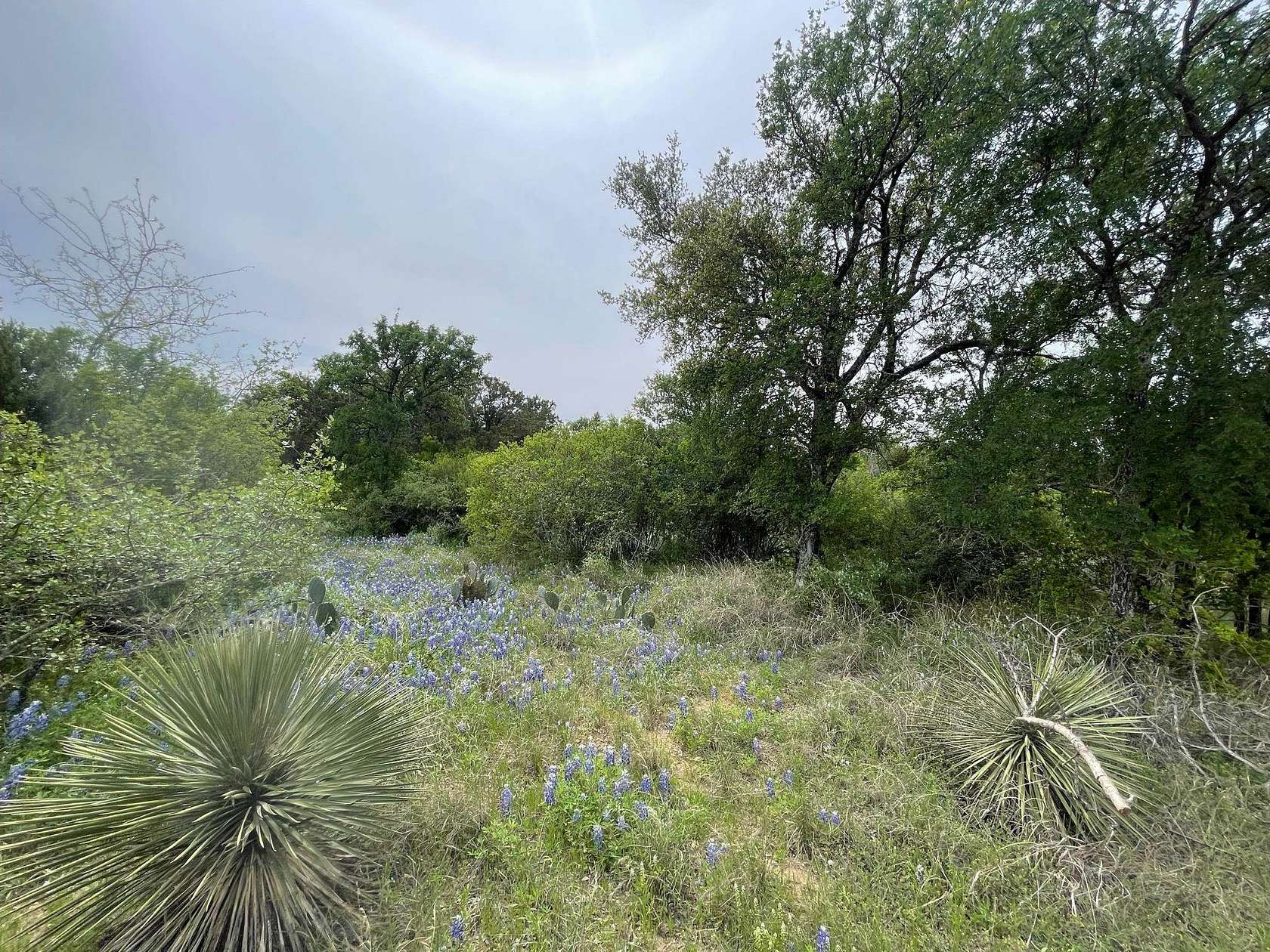 0.23 Acres of Residential Land for Sale in Granite Shoals, Texas