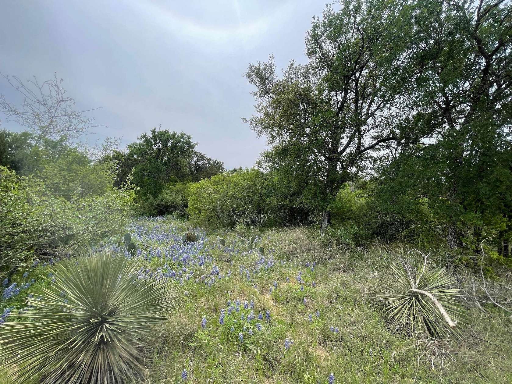 0.23 Acres of Residential Land for Sale in Granite Shoals, Texas