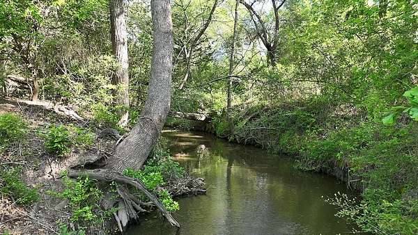 254 Acres of Land for Sale in Ledbetter, Texas