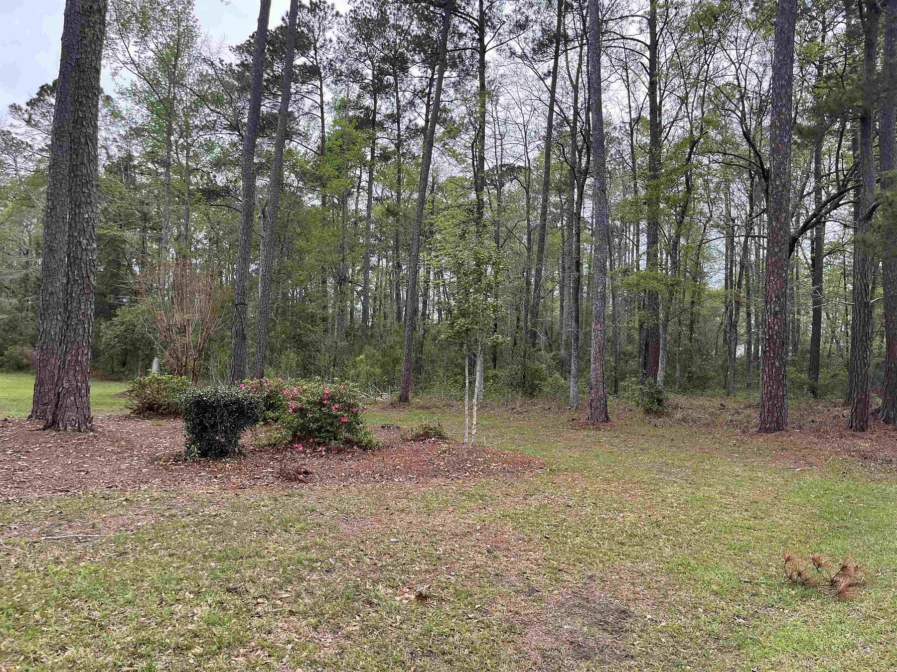 0.53 Acres of Residential Land for Sale in Johnsonville, South Carolina