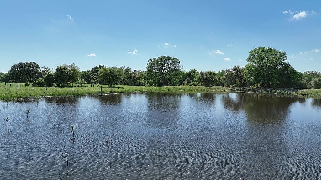 200 Acres of Land for Sale in Ledbetter, Texas