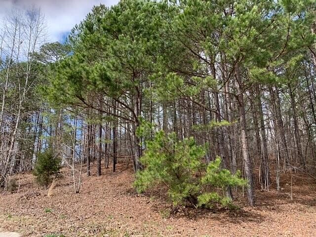 0.9 Acres of Residential Land for Sale in Ringgold, Georgia