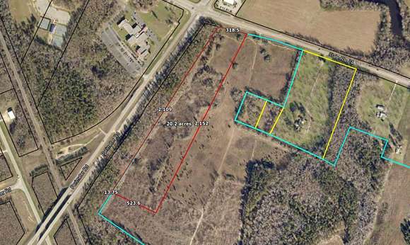 20 Acres of Agricultural Land for Sale in Waynesboro, Georgia