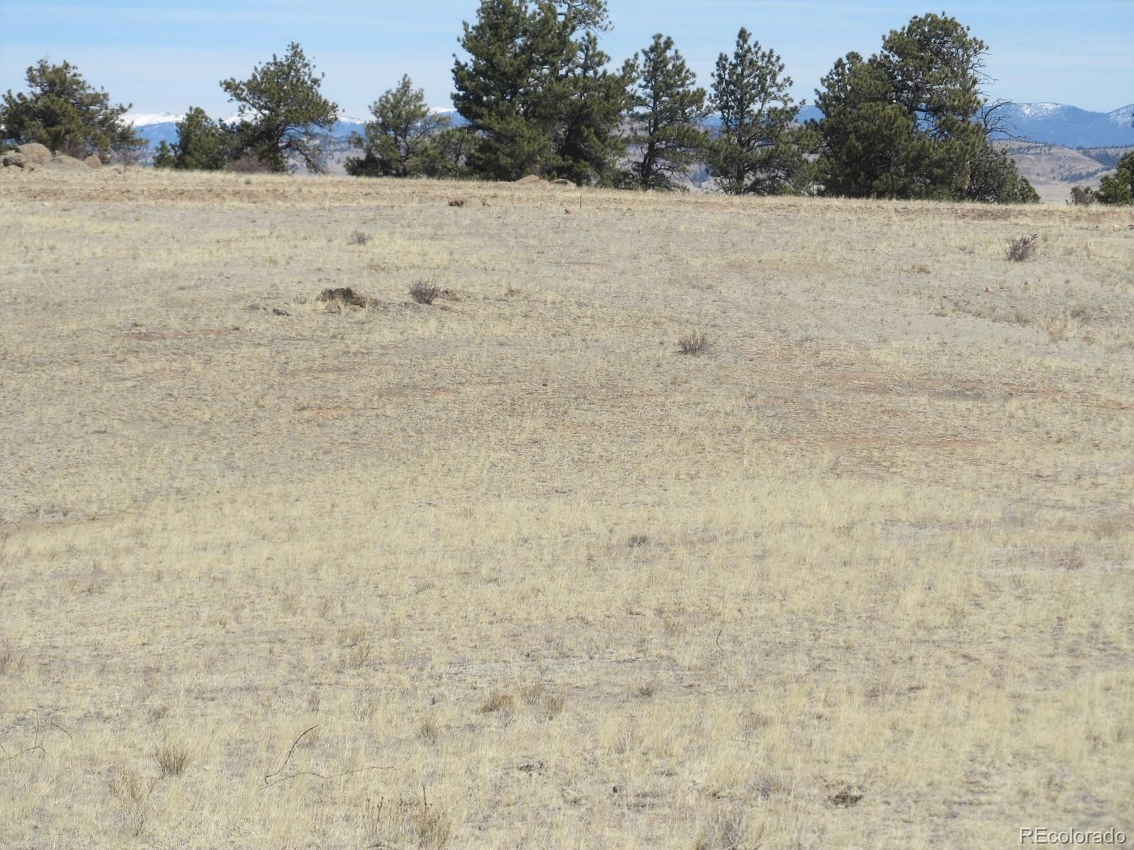 15.2 Acres of Land for Sale in Hartsel, Colorado
