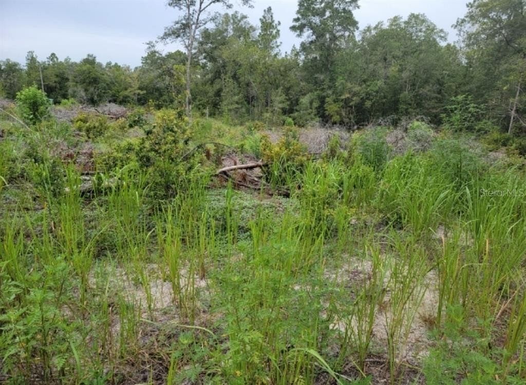 0.23 Acres of Residential Land for Sale in Ocala, Florida