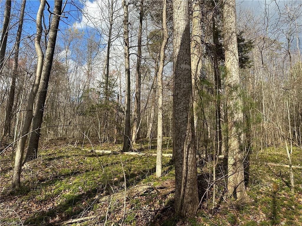 25 Acres of Recreational Land for Sale in Westfield, North Carolina