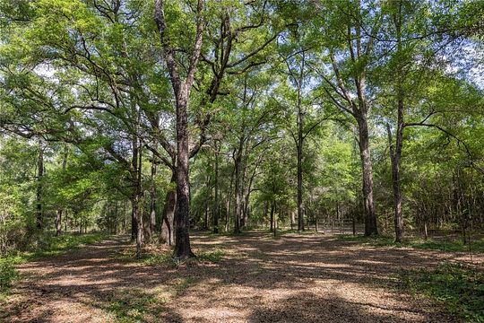 16 Acres of Recreational Land for Sale in Alachua, Florida