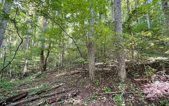 5 Acres of Residential Land for Sale in Hiawassee, Georgia