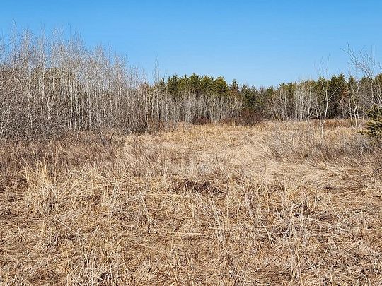 44.9 Acres of Recreational Land for Sale in Lyndon Station, Wisconsin