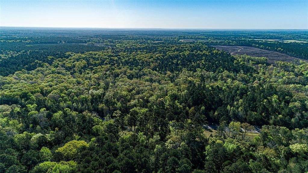 30.25 Acres of Recreational Land for Sale in Jefferson, Texas