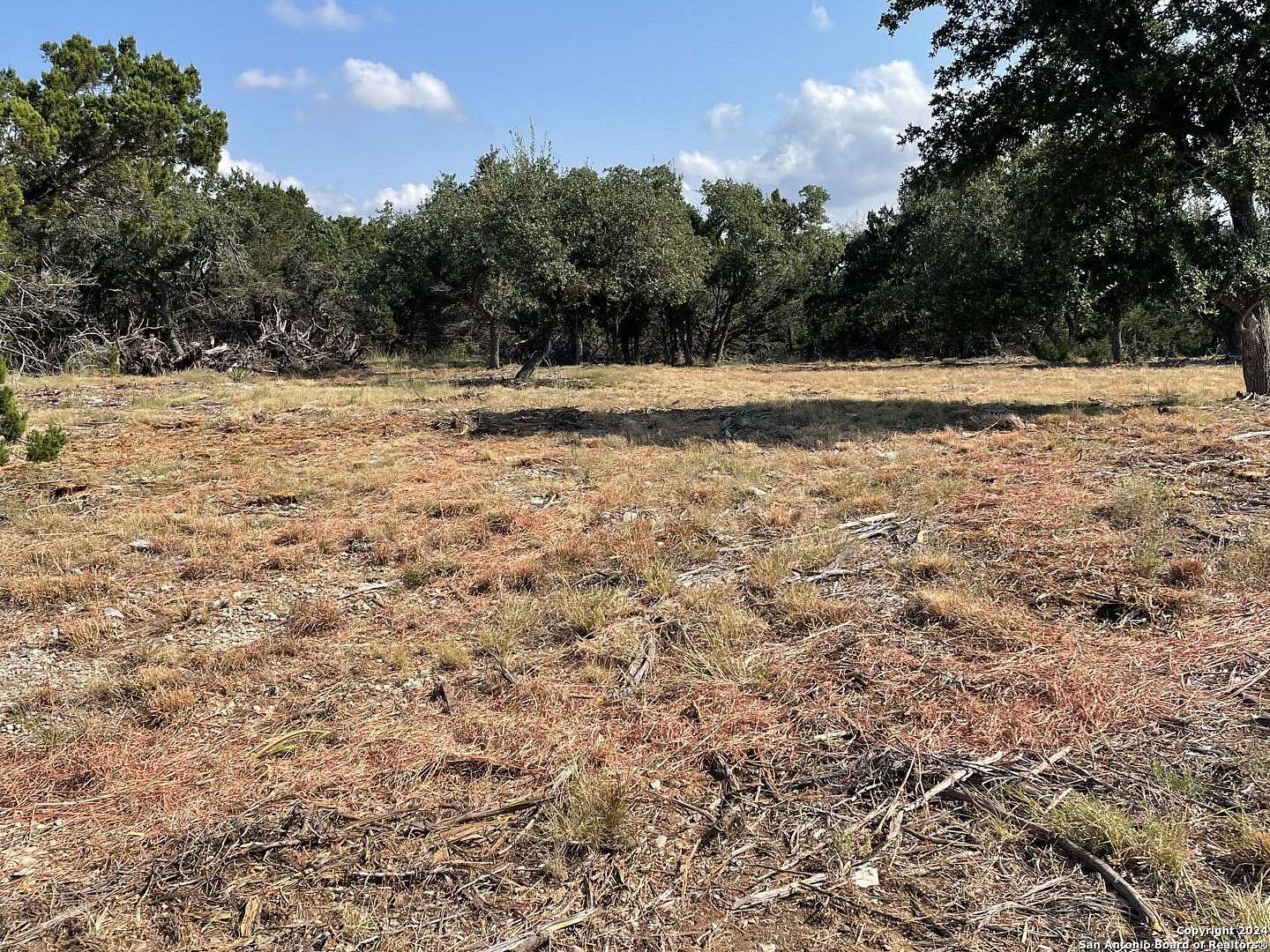 1 Acre of Residential Land for Sale in Fischer, Texas