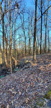 1 Acre of Residential Land for Sale in Kingsport, Tennessee