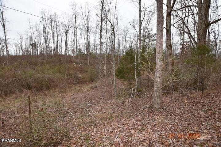 1.3 Acres of Residential Land for Sale in Ten Mile, Tennessee