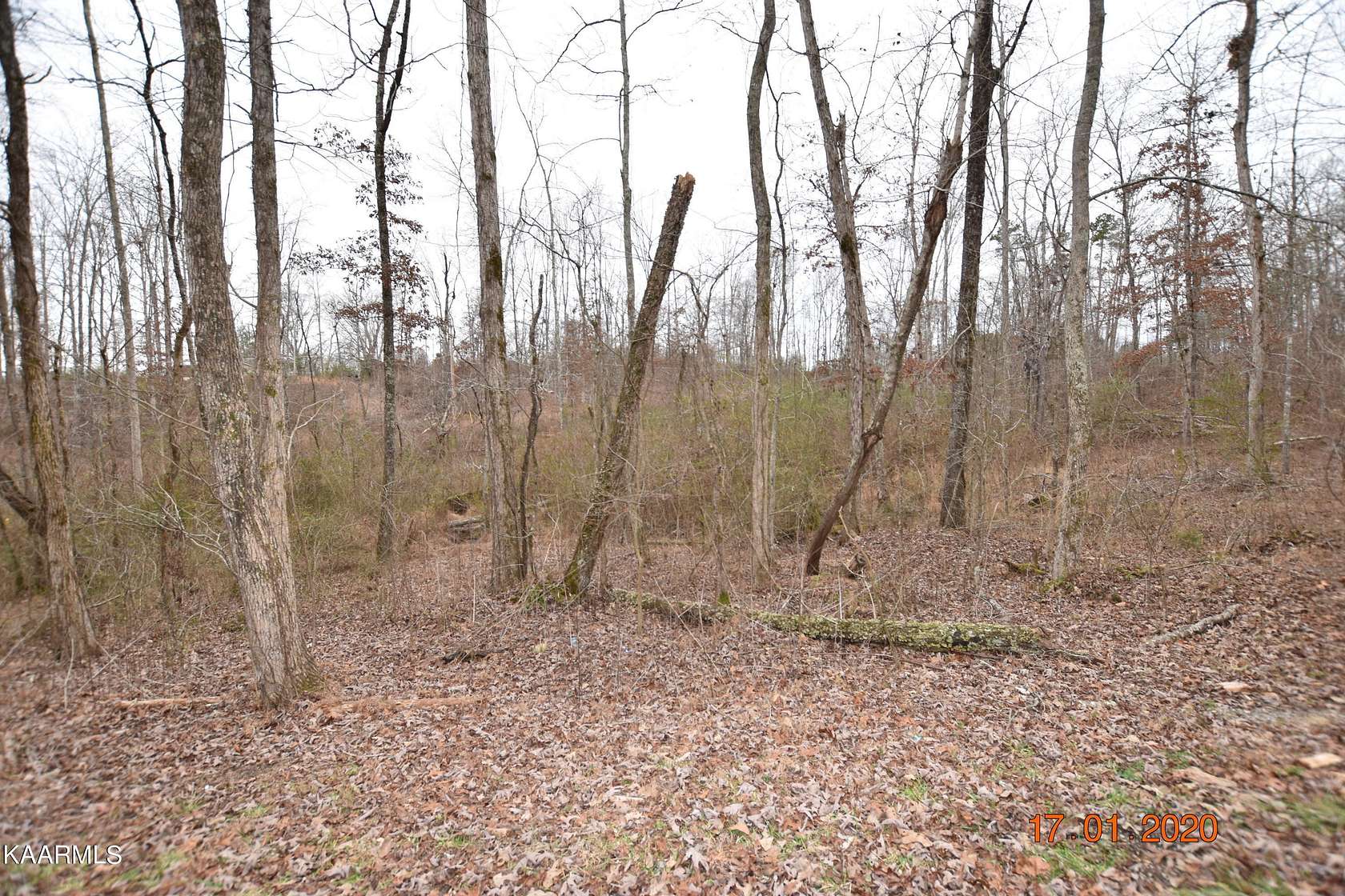 0.98 Acres of Residential Land for Sale in Ten Mile, Tennessee