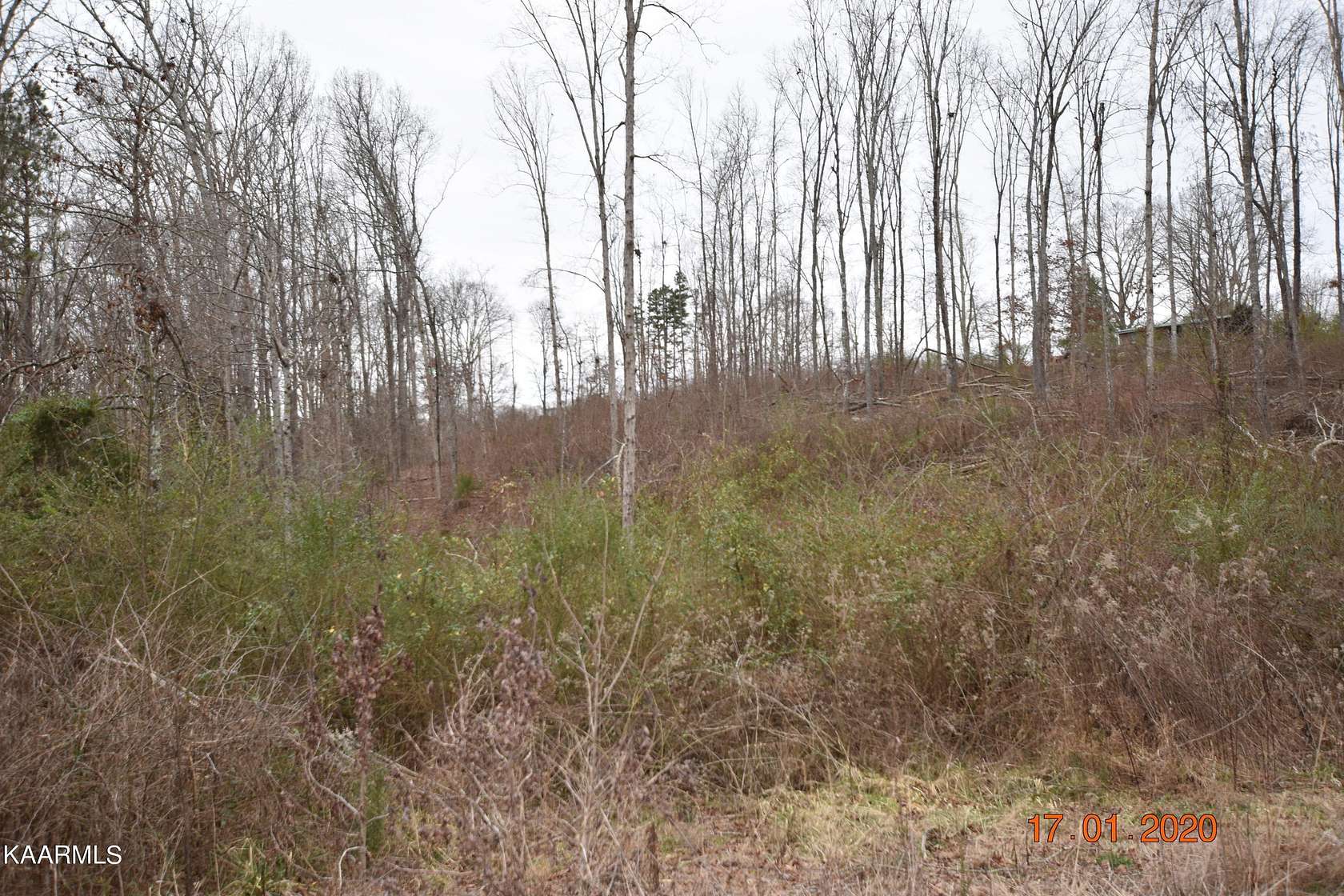 1 Acre of Residential Land for Sale in Ten Mile, Tennessee