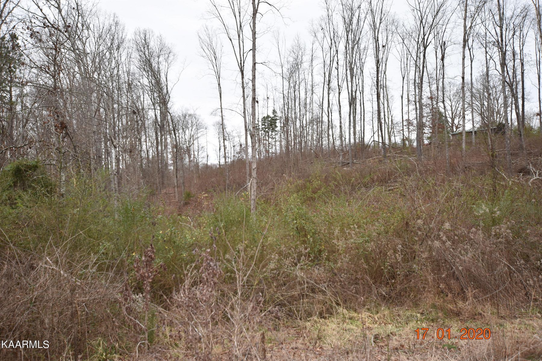 1.1 Acres of Residential Land for Sale in Ten Mile, Tennessee