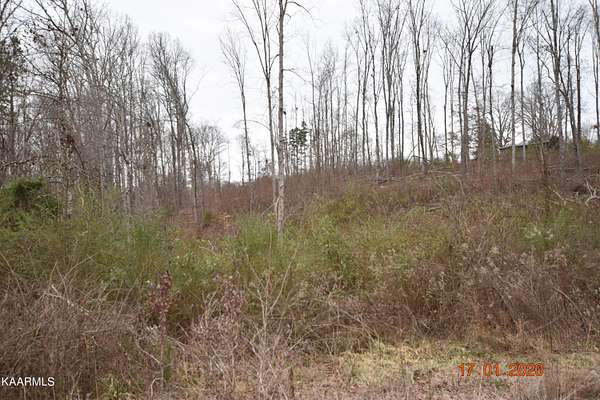 1 Acre of Residential Land for Sale in Ten Mile, Tennessee