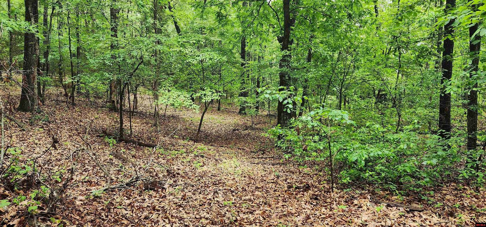 40 Acres of Land for Sale in Oakland, Arkansas