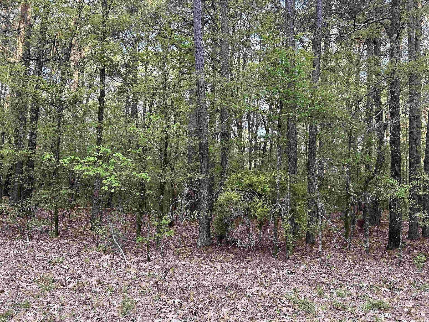 1.6 Acres of Residential Land for Sale in Monticello, Arkansas