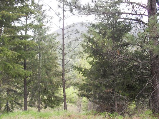 13.8 Acres of Recreational Land with Home for Sale in Colville, Washington