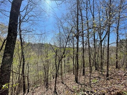 26.8 Acres of Recreational Land for Sale in Bremen, Alabama
