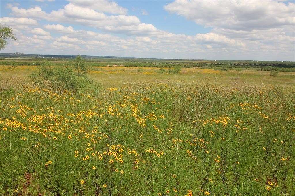 9.216 Acres of Land for Sale in Tuscola, Texas