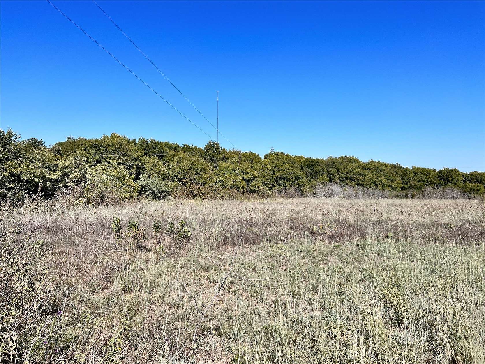 9 Acres of Residential Land for Sale in Carl's Corner, Texas
