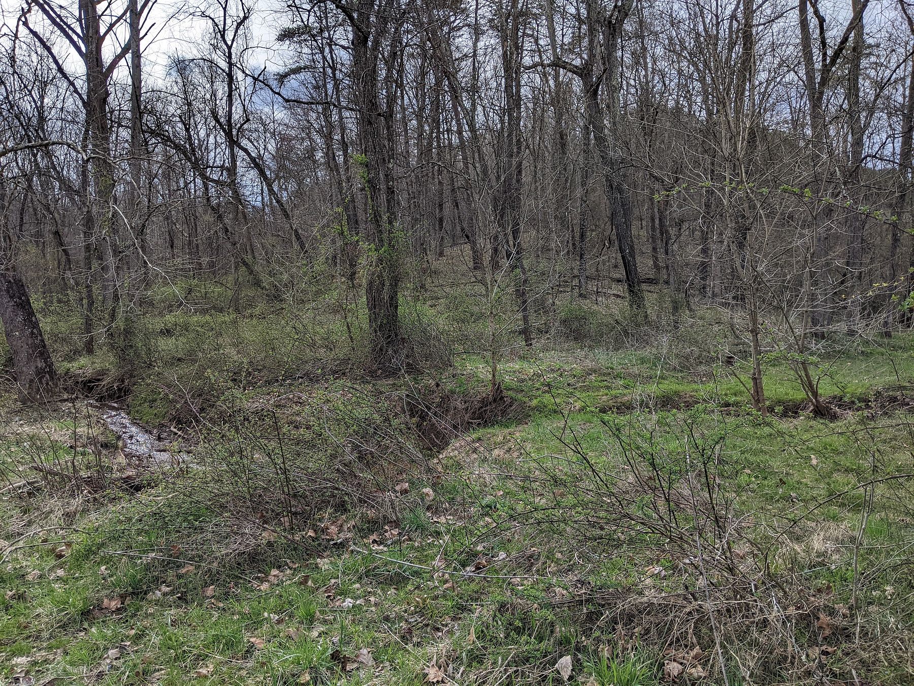 47.3 Acres of Recreational Land for Sale in Portland, Ohio