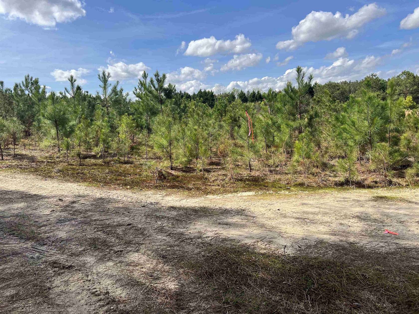 67.9 Acres of Land for Sale in Angier, North Carolina