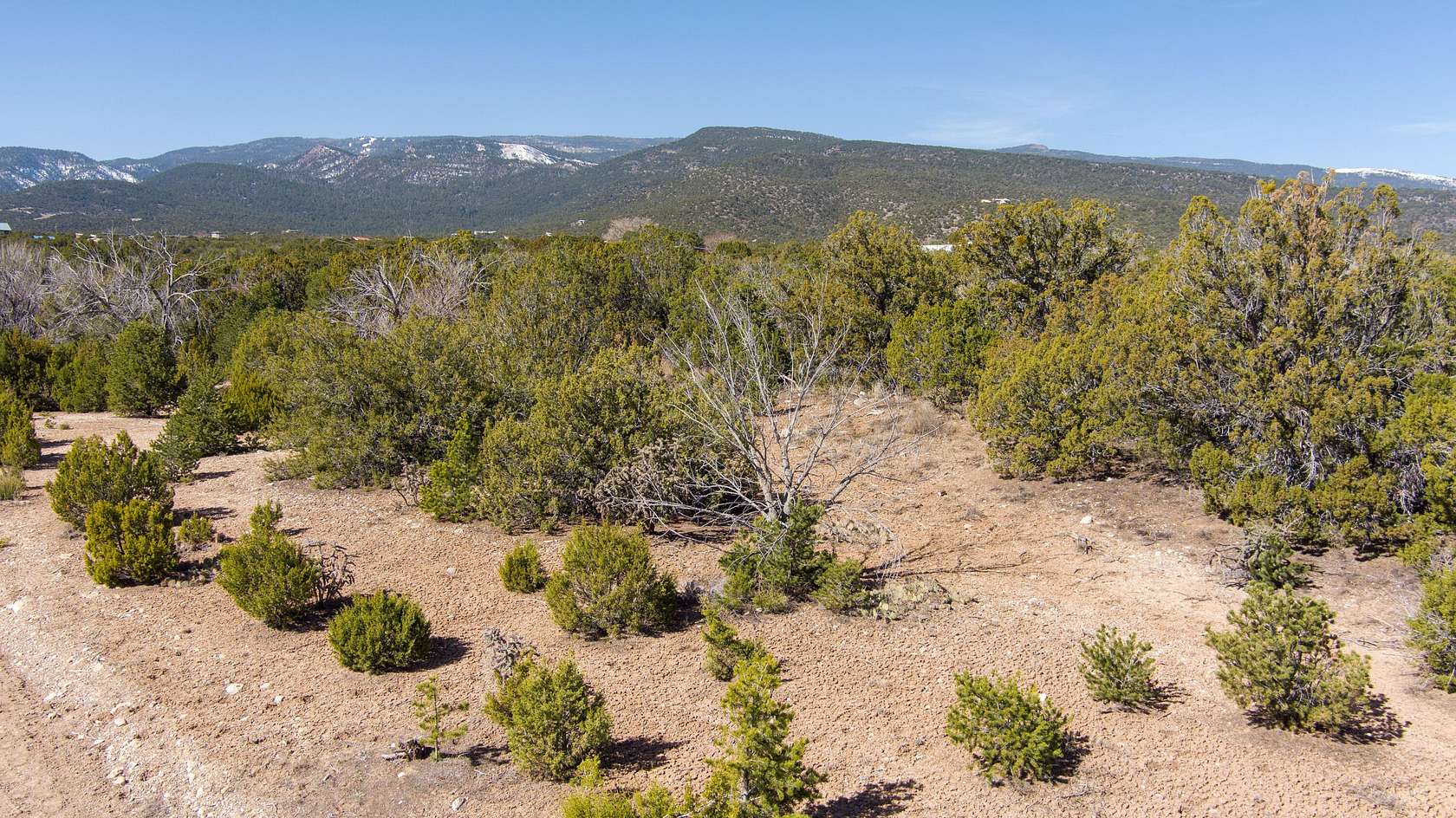 6.24 Acres of Land for Sale in Sandia Park, New Mexico