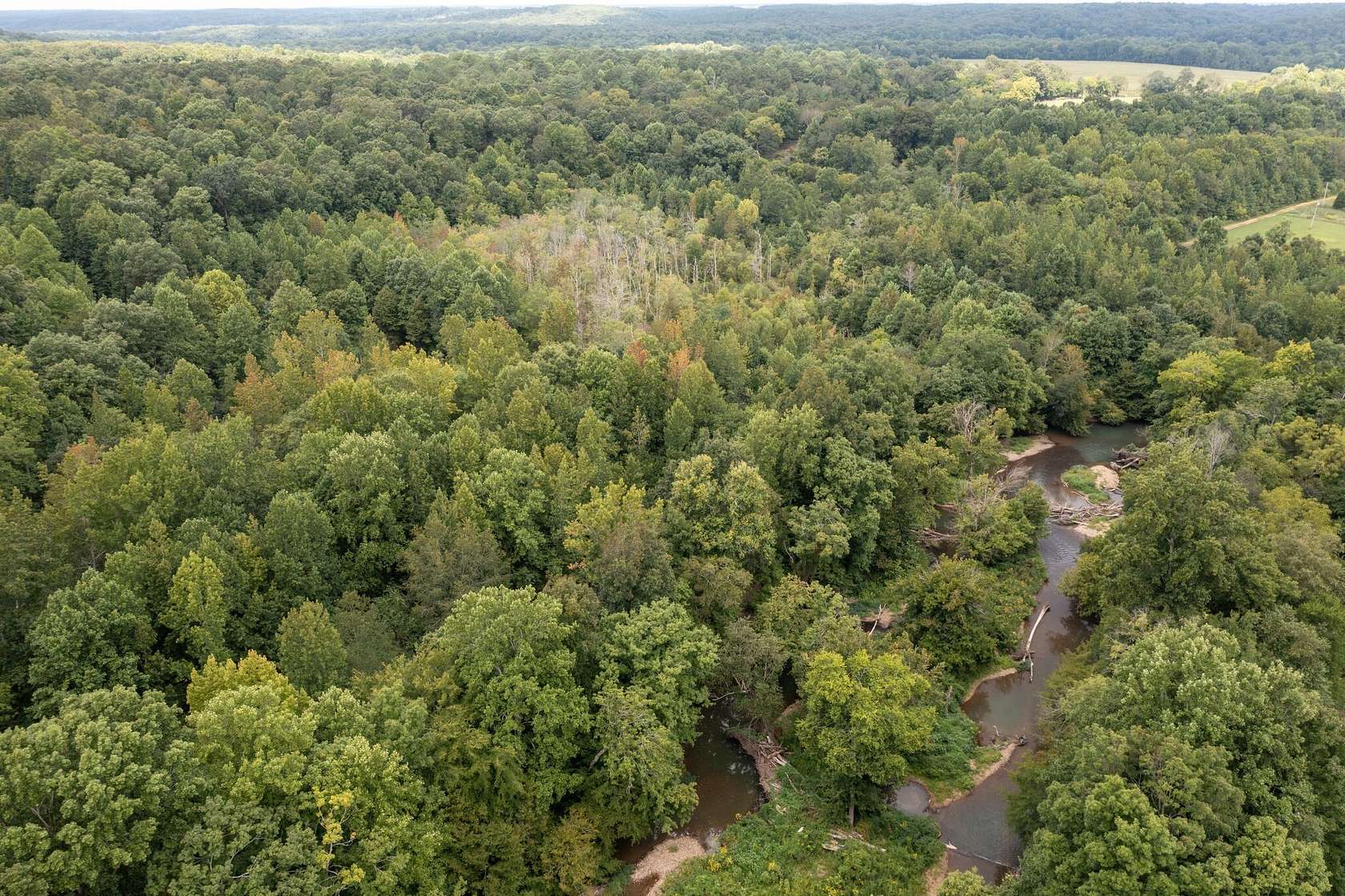 28.2 Acres of Land for Sale in Hohenwald, Tennessee