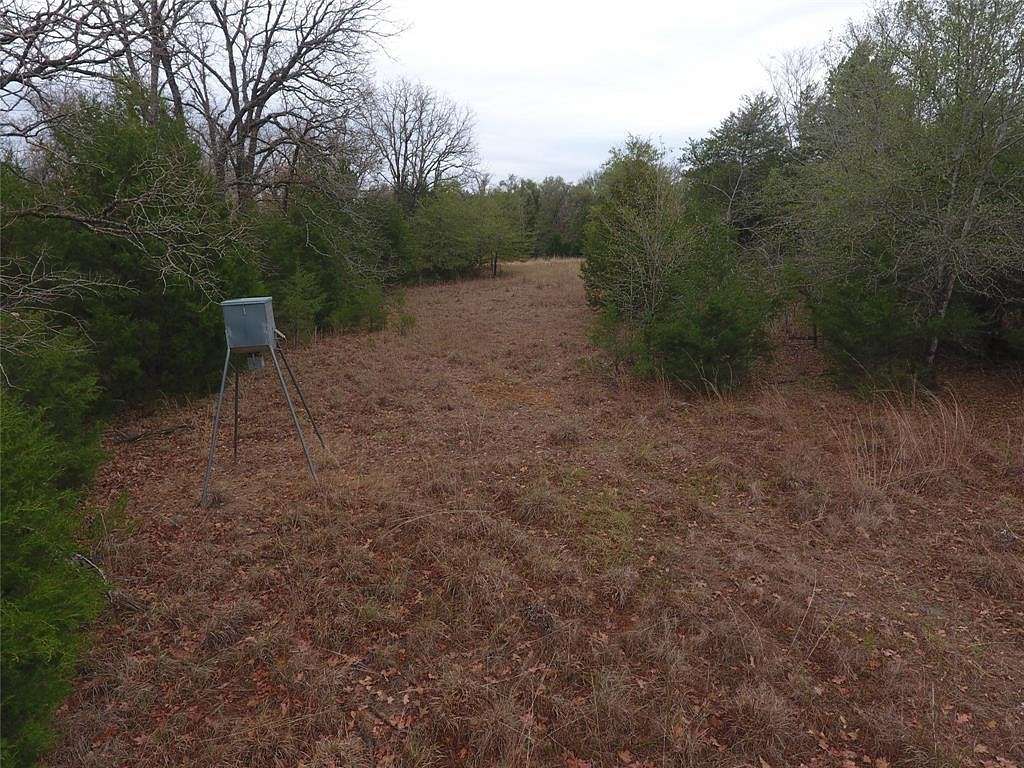 51.3 Acres of Land for Sale in Teague, Texas