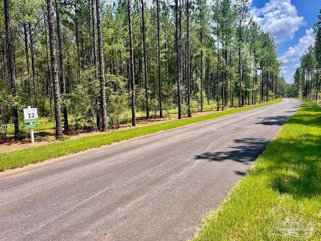 17.4 Acres of Recreational Land for Sale in Pace, Florida