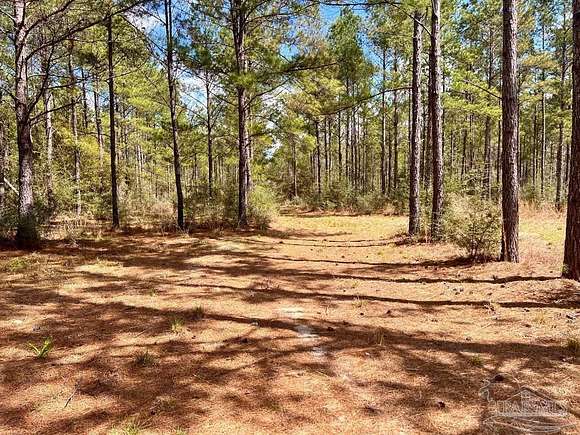 17.42 Acres of Recreational Land for Sale in Pace, Florida