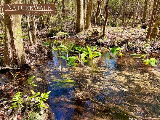 17.4 Acres of Recreational Land for Sale in Pace, Florida