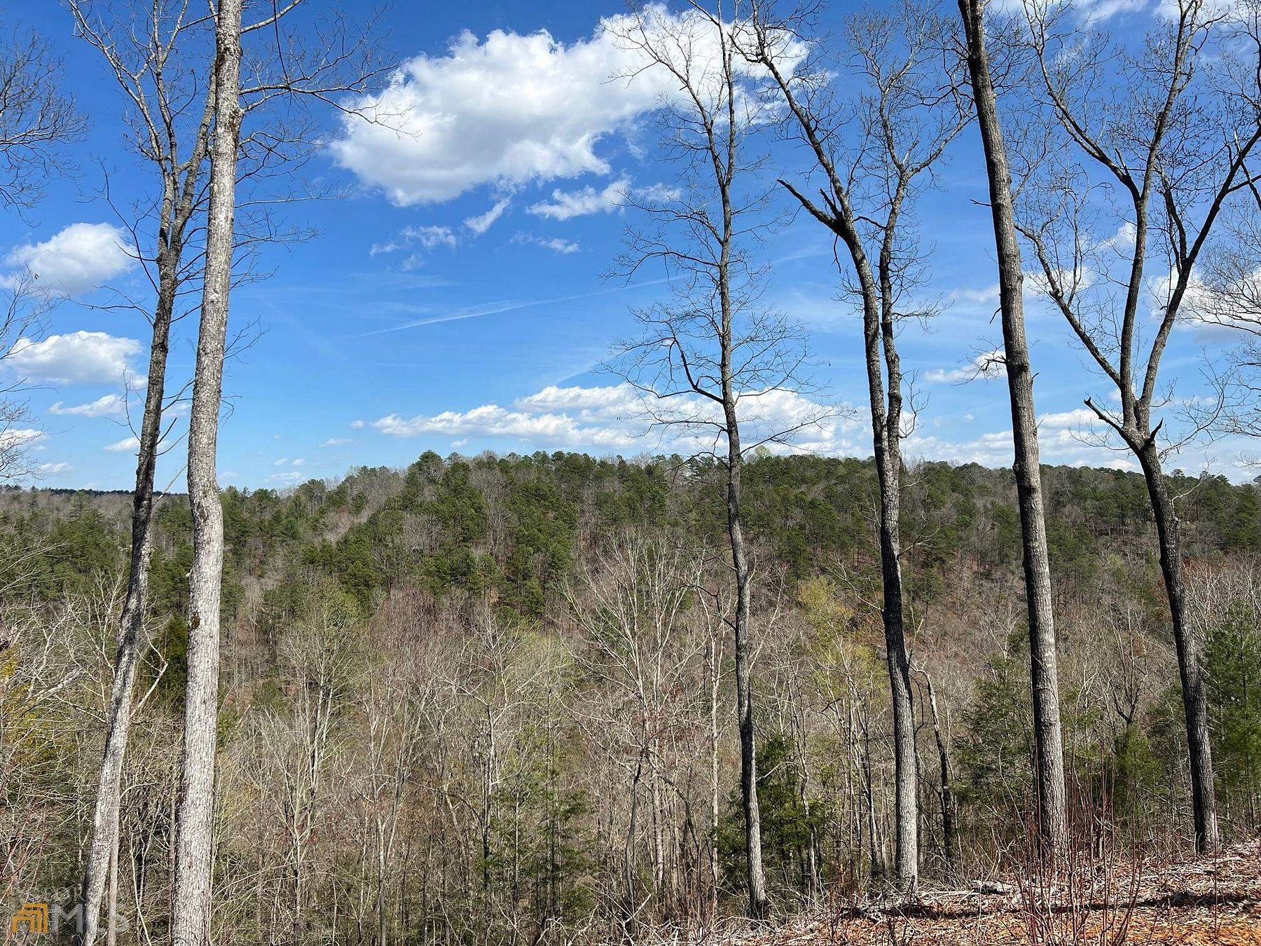 0.94 Acres of Residential Land for Sale in Ellijay, Georgia