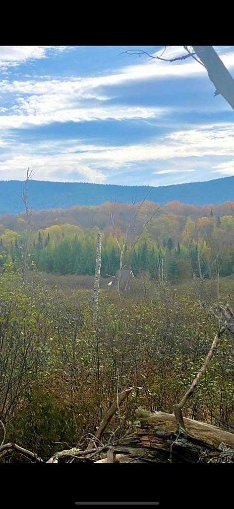 17.5 Acres of Land for Sale in Bloomingdale, New York