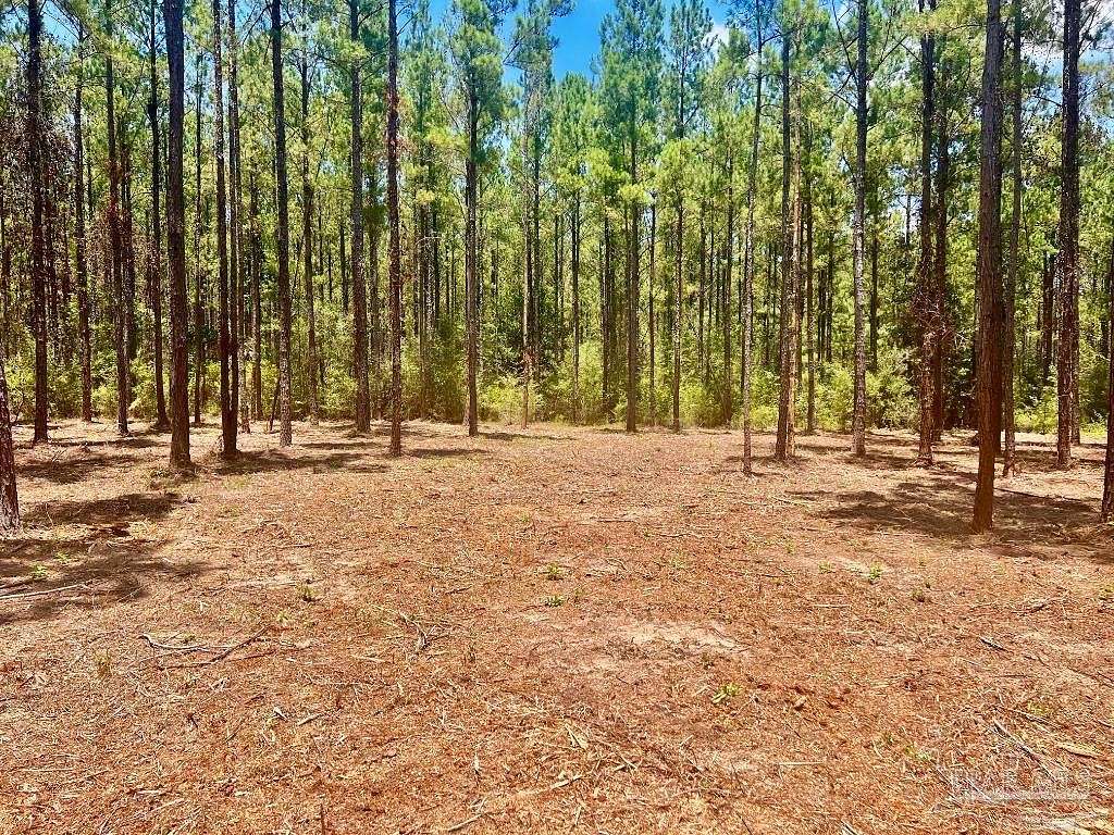 15 Acres of Recreational Land for Sale in Pace, Florida