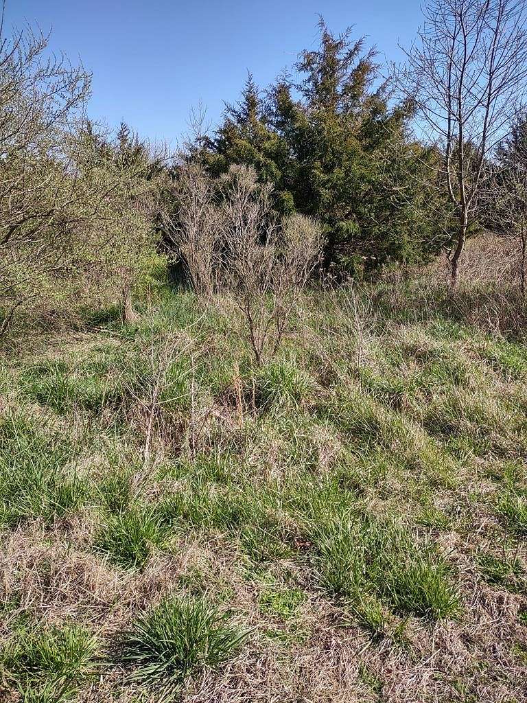 0.75 Acres of Residential Land for Sale in Accomac, Virginia