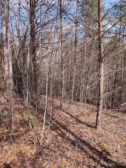 1.2 Acres of Residential Land for Sale in Marion, North Carolina