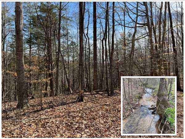 76 Acres of Land for Sale in Hilham, Tennessee