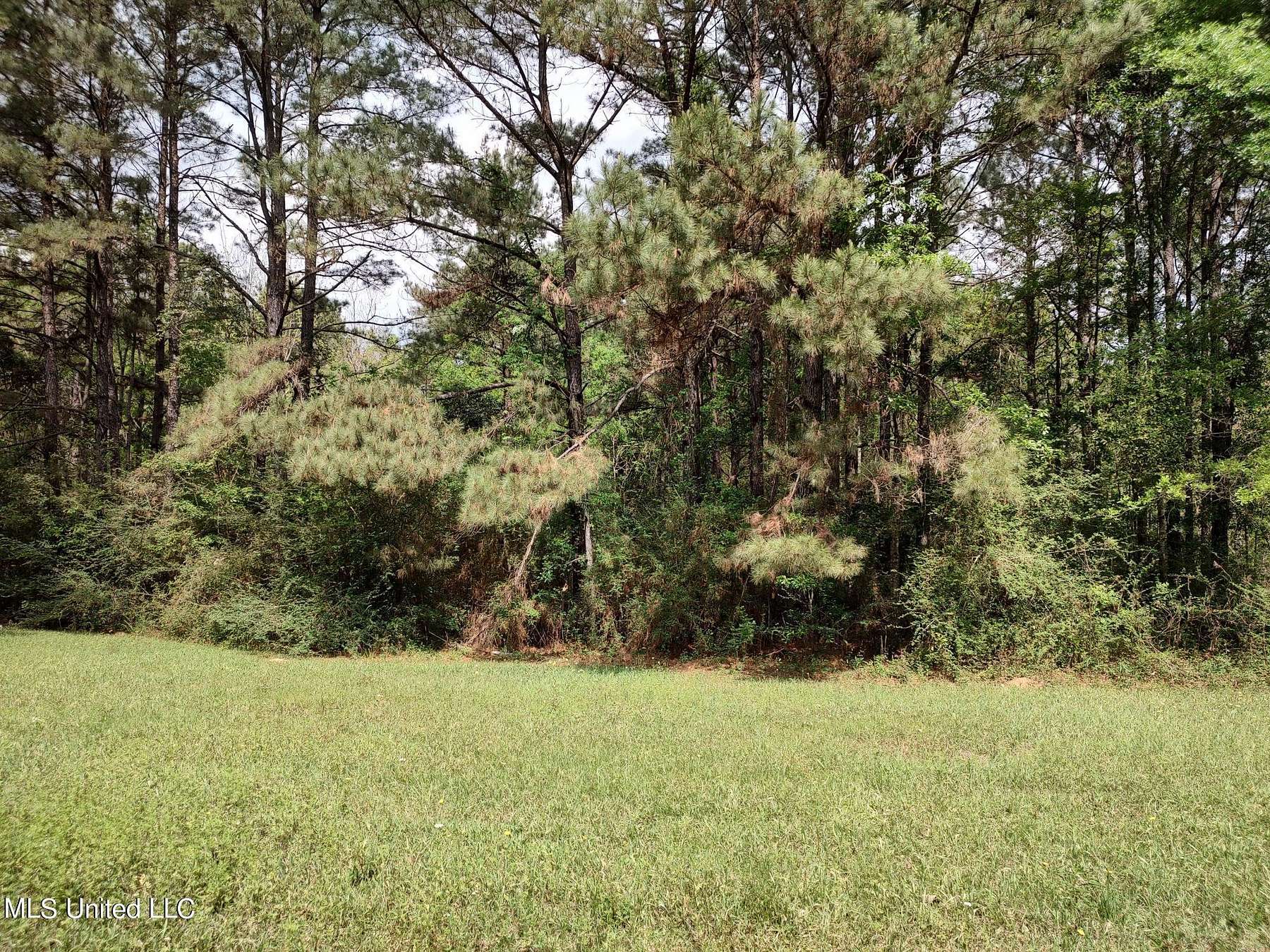 0.22 Acres of Residential Land for Sale in Lumberton, Mississippi
