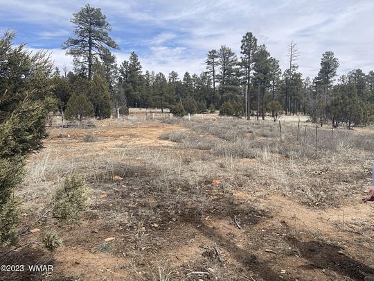 5 Acres of Residential Land for Sale in Overgaard, Arizona