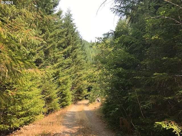 74.4 Acres of Recreational Land for Sale in Gates, Oregon