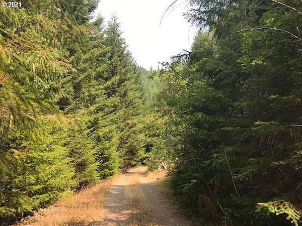 74.4 Acres of Recreational Land for Sale in Gates, Oregon