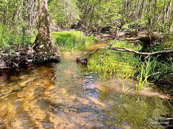 15.2 Acres of Recreational & Residential Land for Sale in Pace, Florida